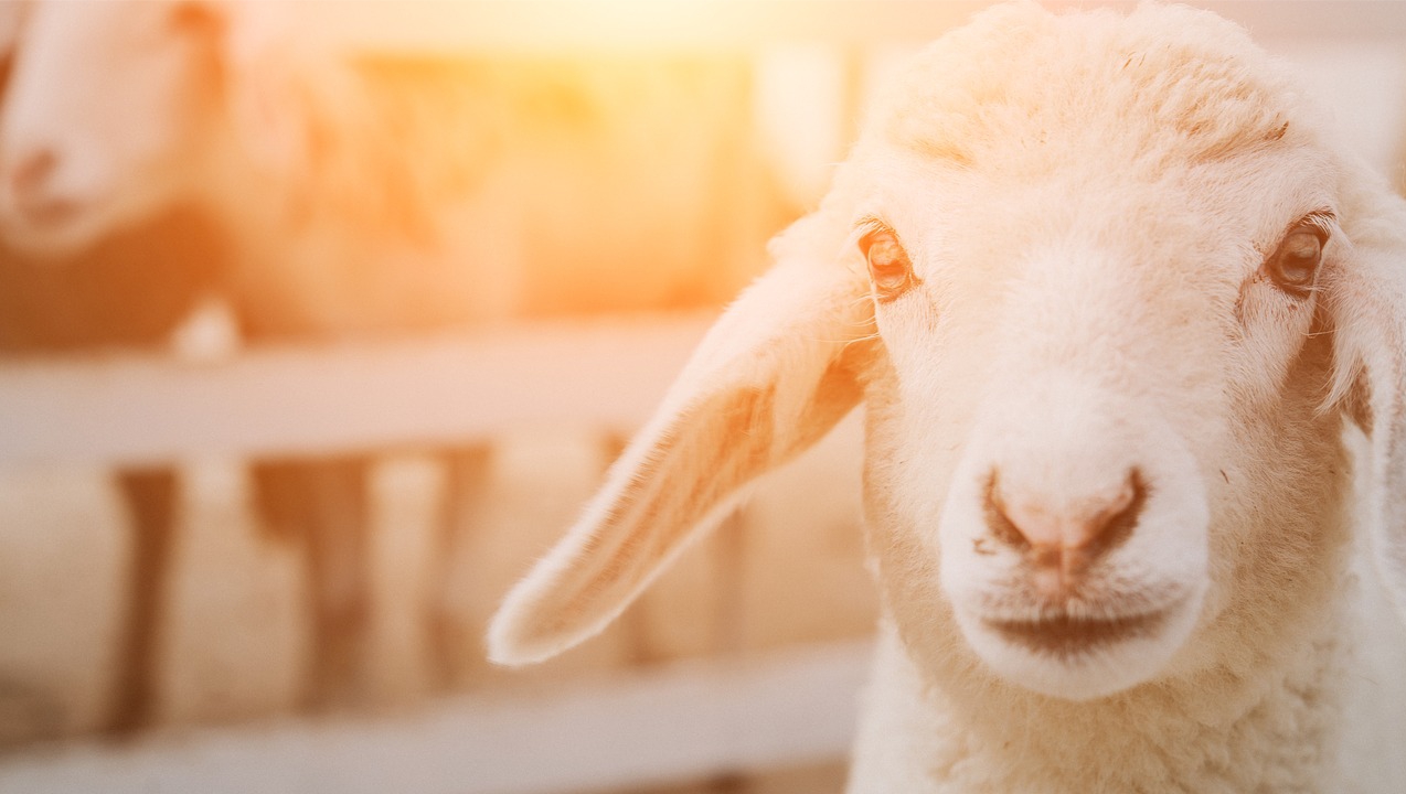 Centro de preparacion de obreros y lideres cristianos 2 timpoteo 2:2